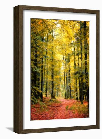 Paintography Wood-Philippe Sainte-Laudy-Framed Photographic Print