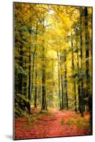 Paintography Wood-Philippe Sainte-Laudy-Mounted Photographic Print