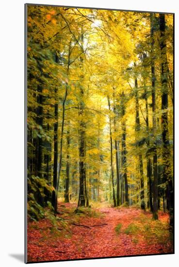 Paintography Wood-Philippe Sainte-Laudy-Mounted Photographic Print