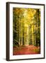 Paintography Wood-Philippe Sainte-Laudy-Framed Photographic Print