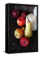 Pair, Apple and Other Fruits in Retro Style Poster Pictures-Aleksa_D-Framed Stretched Canvas