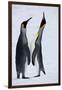 Pair King Penguins on Fresh Snows, South Georgia Island-Darrell Gulin-Framed Photographic Print