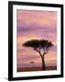 Pair of Accasia Trees at dawn, Masai Mara, Kenya-Adam Jones-Framed Photographic Print