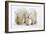 Pair of Adolescent Polar Bear Cubs-Howard Ruby-Framed Photographic Print