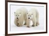 Pair of Adolescent Polar Bear Cubs-Howard Ruby-Framed Photographic Print