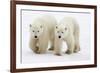 Pair of Adolescent Polar Bear Cubs-Howard Ruby-Framed Photographic Print