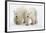 Pair of Adolescent Polar Bear Cubs-Howard Ruby-Framed Photographic Print