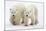 Pair of Adolescent Polar Bear Cubs-Howard Ruby-Mounted Photographic Print