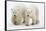 Pair of Adolescent Polar Bear Cubs-Howard Ruby-Framed Stretched Canvas