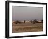 Pair of AH-64 Apache Helicopters Prepare for Takeoff-Stocktrek Images-Framed Photographic Print