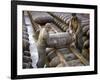 Pair of American Servicemen Moving a Large Bomb at an Ammunition Dump During WWII-null-Framed Photographic Print