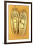 Pair of Ballet or Dancing Shoes Once White But Now Used and Grubby Sitting One Face Down-Den Reader-Framed Photographic Print