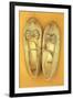 Pair of Ballet or Dancing Shoes Once White But Now Used and Grubby Sitting One Face Down-Den Reader-Framed Photographic Print