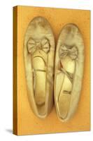 Pair of Ballet or Dancing Shoes Once White But Now Used and Grubby Sitting One Face Down-Den Reader-Stretched Canvas