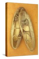 Pair of Ballet or Dancing Shoes Once White But Now Used and Grubby Sitting One Face Down-Den Reader-Stretched Canvas