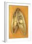 Pair of Ballet or Dancing Shoes Once White But Now Used and Grubby Sitting One Face Down-Den Reader-Framed Photographic Print