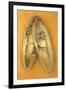 Pair of Ballet or Dancing Shoes Once White But Now Used and Grubby Sitting One Face Down-Den Reader-Framed Photographic Print