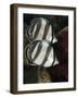 Pair of Banded Butterflyfish (Chaetodon Striatus)-Stephen Frink-Framed Photographic Print