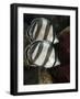 Pair of Banded Butterflyfish (Chaetodon Striatus)-Stephen Frink-Framed Photographic Print