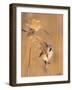 Pair of Bearded reedling perched on reeds, Finland-Jussi Murtosaari-Framed Photographic Print