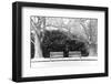 Pair of Benches in the Snow-pdb1-Framed Photographic Print