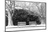 Pair of Benches in the Snow-pdb1-Mounted Photographic Print