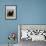 Pair of Black Labrador Retrievers-Lynn M^ Stone-Framed Photographic Print displayed on a wall