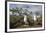 Pair of Blue-Footed Boobies-Paul Souders-Framed Photographic Print