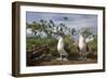 Pair of Blue-Footed Boobies-Paul Souders-Framed Photographic Print