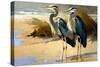 Pair of Blue Herons I-Vivienne Dupont-Stretched Canvas