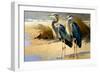 Pair of Blue Herons I-Vivienne Dupont-Framed Art Print