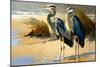 Pair of Blue Herons I-Vivienne Dupont-Mounted Art Print