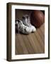 Pair of Boots with a Basketball-null-Framed Photographic Print