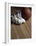 Pair of Boots with a Basketball-null-Framed Photographic Print