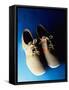 Pair of Bowling Shoes-null-Framed Stretched Canvas