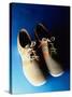 Pair of Bowling Shoes-null-Stretched Canvas