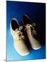 Pair of Bowling Shoes-null-Mounted Photographic Print