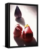 Pair of Boxing Gloves-null-Framed Stretched Canvas