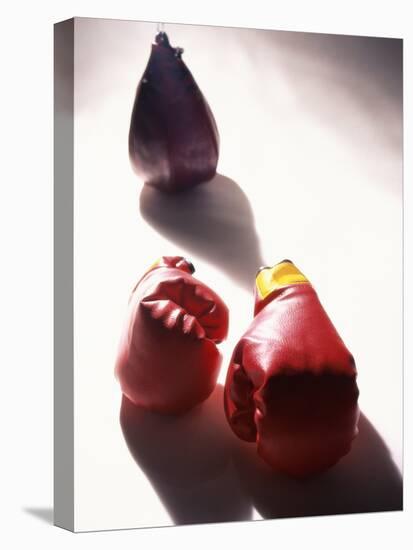 Pair of Boxing Gloves-null-Stretched Canvas