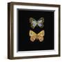 Pair of Butterflies on Black-Joanna Charlotte-Framed Art Print