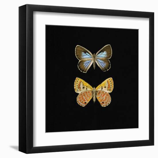 Pair of Butterflies on Black-Joanna Charlotte-Framed Art Print