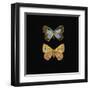 Pair of Butterflies on Black-Joanna Charlotte-Framed Art Print