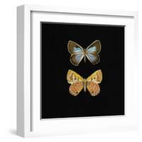 Pair of Butterflies on Black-Joanna Charlotte-Framed Art Print