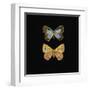 Pair of Butterflies on Black-Joanna Charlotte-Framed Art Print