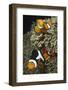 Pair of Clown Anemonefish in Sea Anemone-Hal Beral-Framed Photographic Print