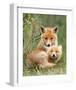 Pair of Cuddling Red Fox Cubs-null-Framed Art Print