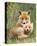 Pair of Cuddling Red Fox Cubs-null-Stretched Canvas