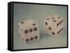 Pair of Dice-Jennifer Kennard-Framed Stretched Canvas