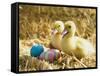 Pair of ducklings with Easter eggs-Ada Summer-Framed Stretched Canvas