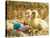 Pair of ducklings with Easter eggs-Ada Summer-Stretched Canvas